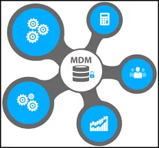 Master Data Management