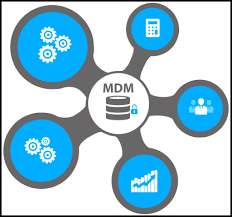 Master Data Management