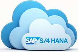 SAP S/4HANA Cloud